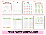 Digital Budget Planner, Digital Financial Budget Planner, Digital Finance Planner, Finance Tracker, Undated Budget Planner,GoodNotes Planner