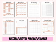 Digital Financial Budget Planner, Finance Tracker, GoodNotes Budget Planner, Undated Finance Planner, Monthly Budget, iPad Finance Template